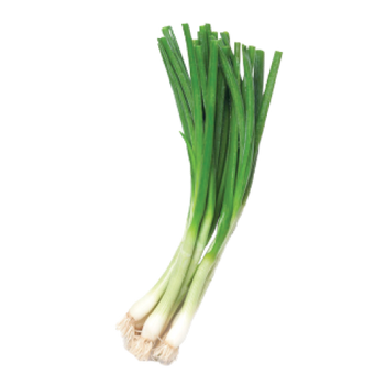 Green Onion (bundle)